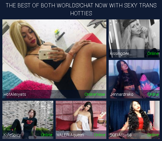 Sexy transsexual webcam chat rooms